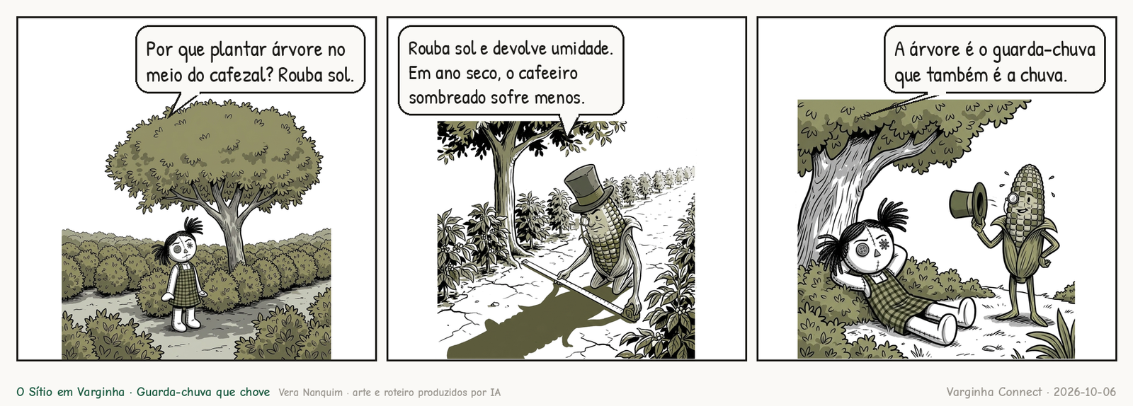 O Sítio em Varginha — Guarda-chuva que chove